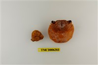 藏品(白紋方蟹)的圖片
